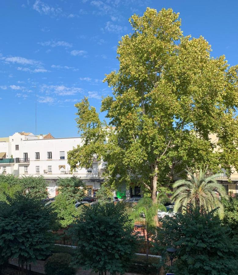Acogedor Apartamento En Pleno Corazon De Triana — Fotos 1